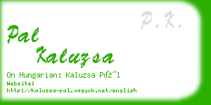 pal kaluzsa business card